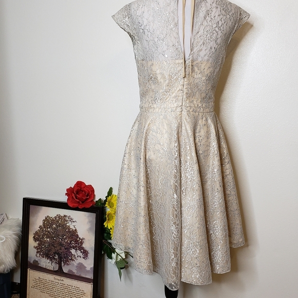NEW RARE Slate & Willow Champagne Illusion Neckline Glistening Lace Spin Dress - Picture 8 of 16